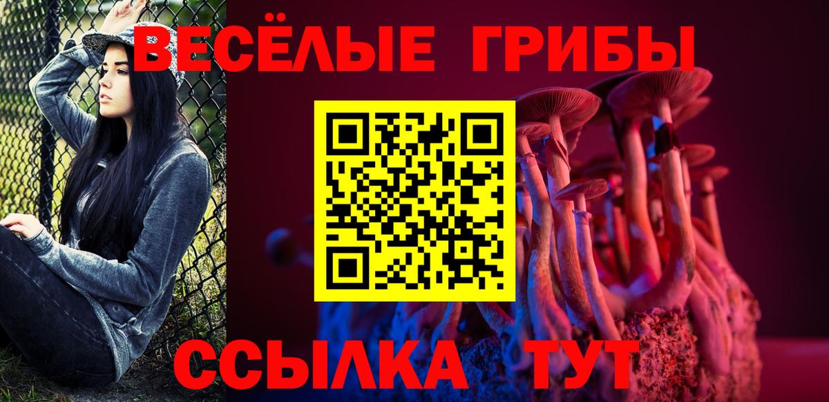 Кингисепп  Галлюциногенные грибы Cubensis  Вход с VPN  цена   Псилоцибиновые грибы Cubensis 