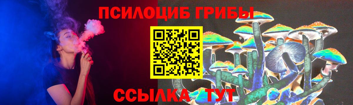 Галлюциногенные грибы Cubensis Кингисепп